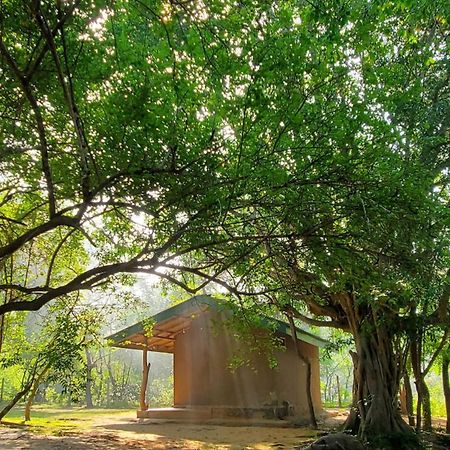 Clay Hut Village Polonnaruwa Esterno foto