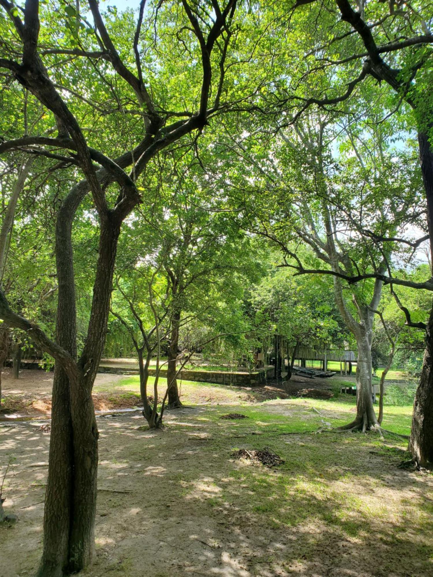 Clay Hut Village Polonnaruwa Esterno foto
